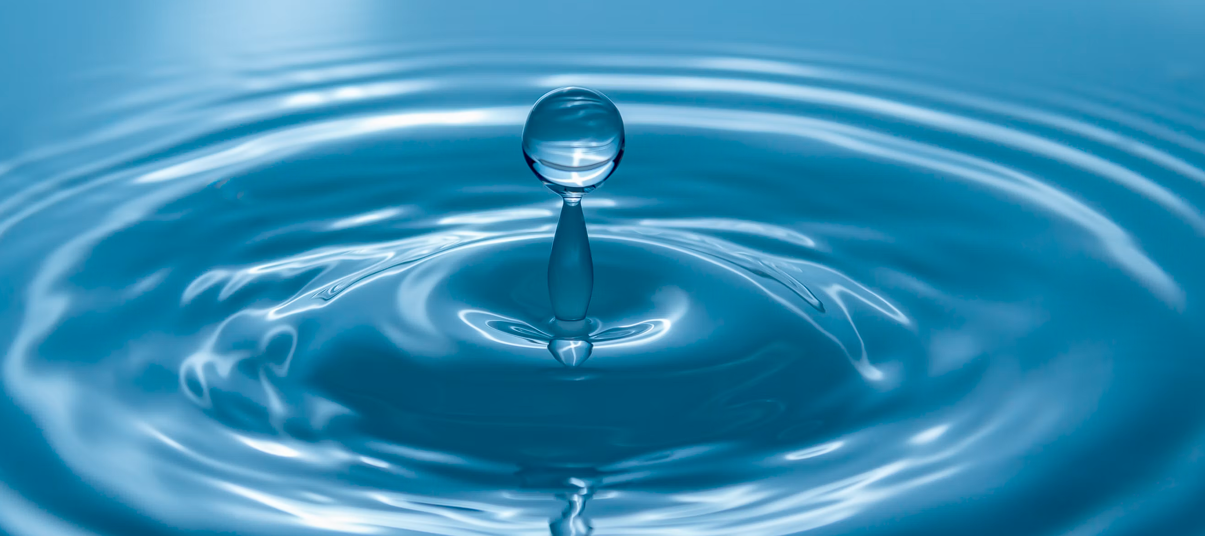 Social Entrepreneurship: Models and Real-World Examples