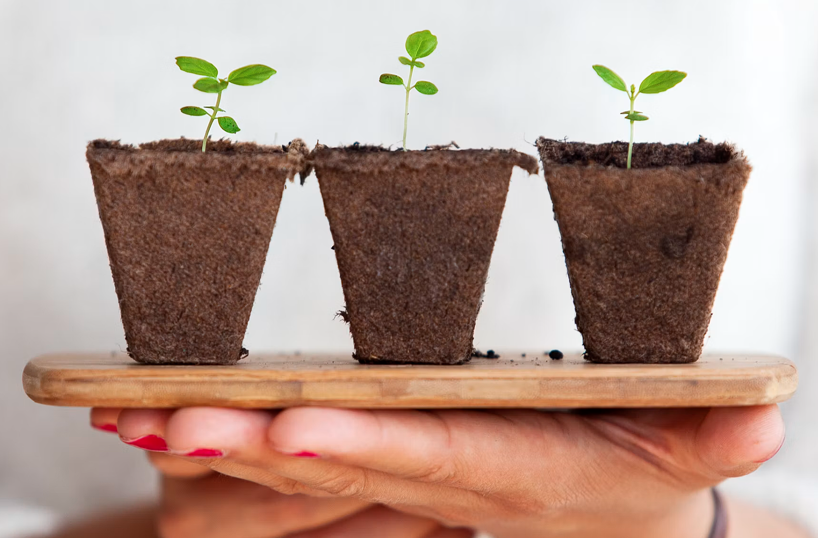 Beyond Discounts: How Trust Signals Drive Conversion Rate Optimization for Steward-Owned Brands